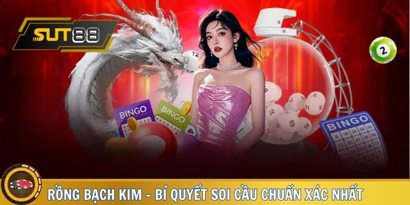Rồng Bạch Kim Sut88 - Bí Quyết Soi Cầu Chuẩn Xác Nhất
